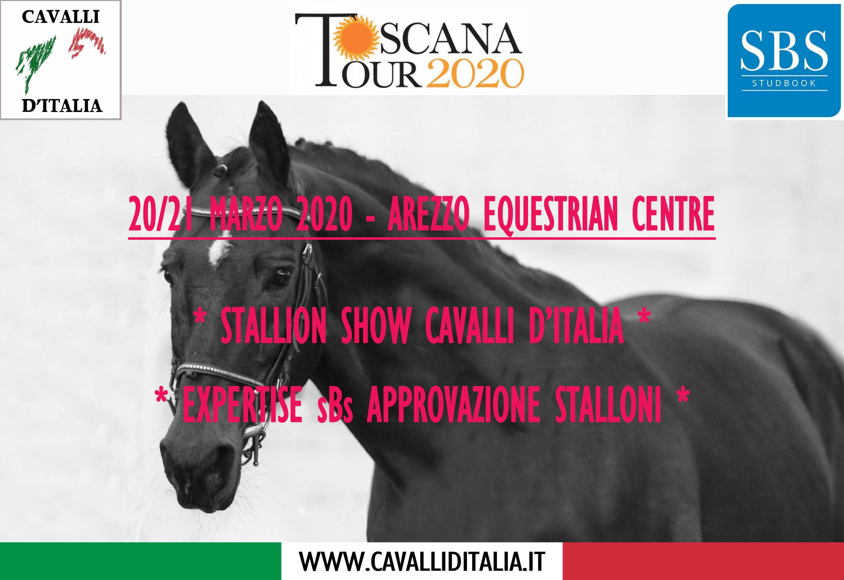 Stallion Show 2020 Arezzo Equestrian Centre Toscana Tour 19 20